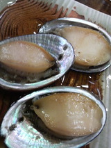 a2759d5f.jpg