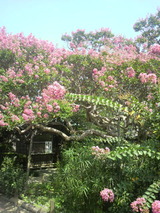 c19f8bd5.jpg