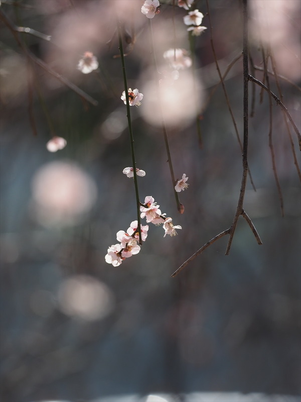 sidareume40332
