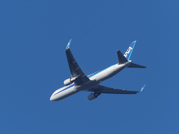 ANA11263