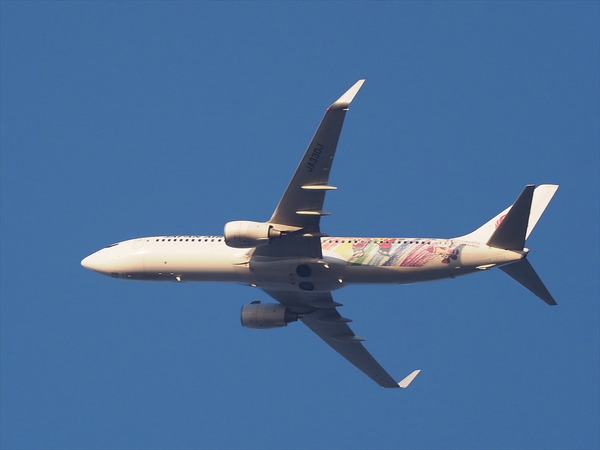 JAL11675
