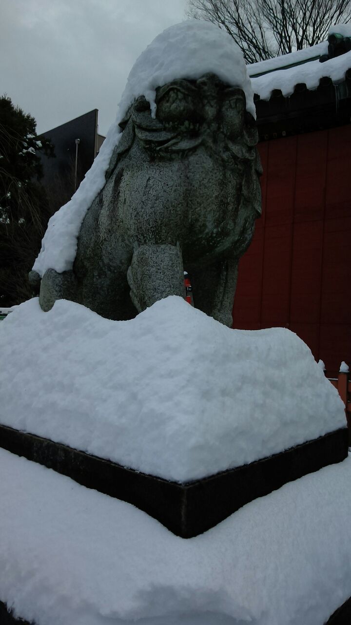 尾崎神社の狛犬