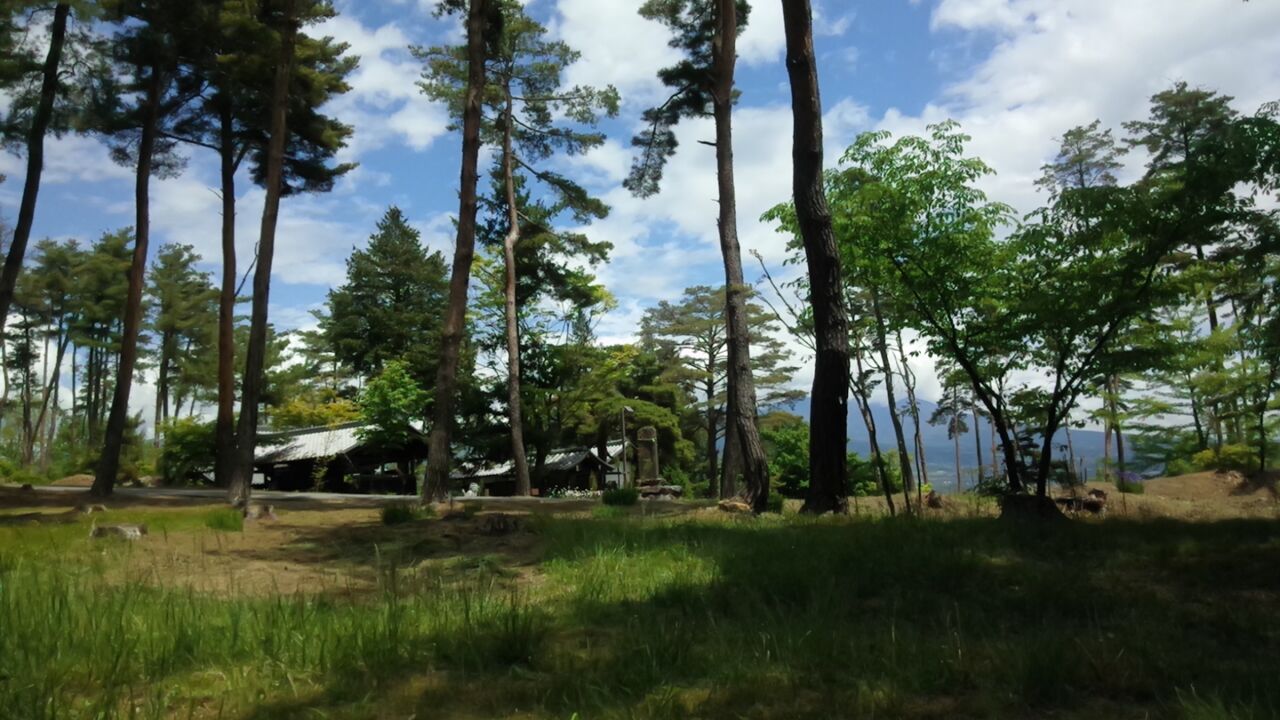 公園を散策