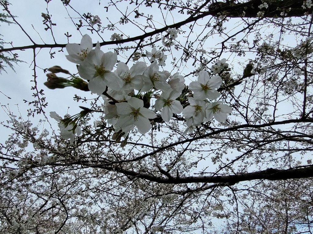 230321鶴舞
