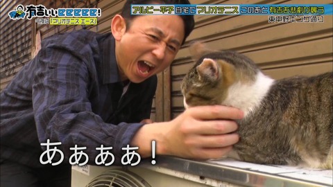 朗報 有吉がつけたあだ名の名作1位 決まるwwwwwwwwwwww なんでもいいよちゃんねるneo 朗報 有吉がつけたあだ名の名作1位 決まるwwwwwwwwwwww なんでもいいよちゃんねるneo