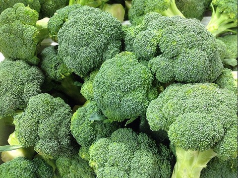 ﾌﾞﾛｯｺﾘｰ