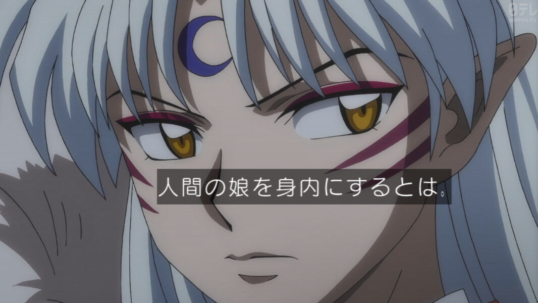 流行のアイテム 殺りん 殺生丸 りん モチウサギ Mbjuturu Org