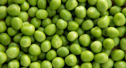 shun05_03_main-1100x594