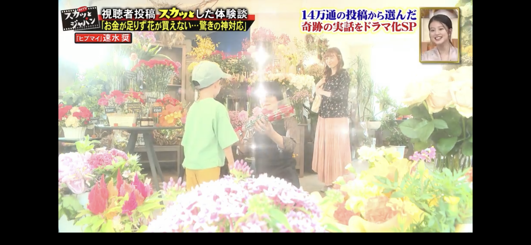 ヒプノシスマイク スカッとジャパン に速水奨出演 チグリジアの花言葉紹介 パピヨンも流れる ヒプマイまとめディビジョン ヒプノシスマイク
