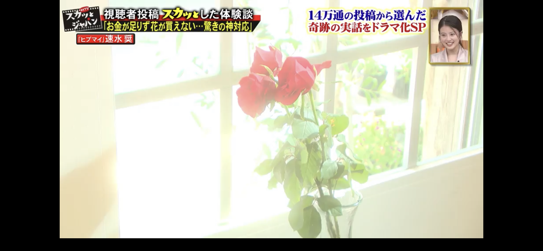 ヒプノシスマイク スカッとジャパン に速水奨出演 チグリジアの花言葉紹介 パピヨンも流れる ヒプマイまとめディビジョン ヒプノシスマイク