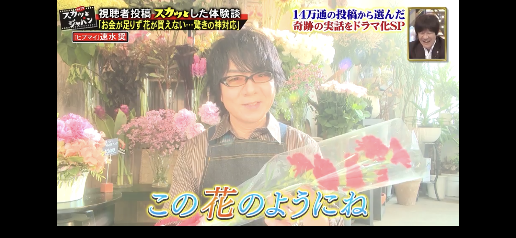 ヒプノシスマイク スカッとジャパン に速水奨出演 チグリジアの花言葉紹介 パピヨンも流れる ヒプマイまとめディビジョン ヒプノシスマイク