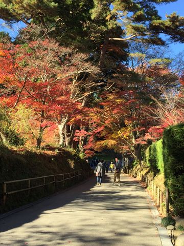 わたしの おくのほそ道 陸に上がったカッパ わたしの おくのほそ道 陸に上がったカッパ