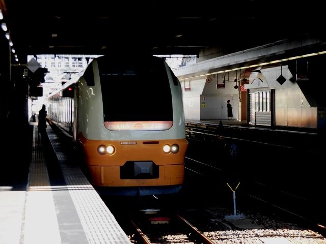 新青森駅から京都までの帰路 2 秋田から新潟まで特急いなほ 超満員で新潟着 ひゅーまんにぶろぐ 新青森駅から京都までの帰路 2 秋田から新潟まで特急いなほ 超満員で新潟着 ひゅーまんにぶろぐ