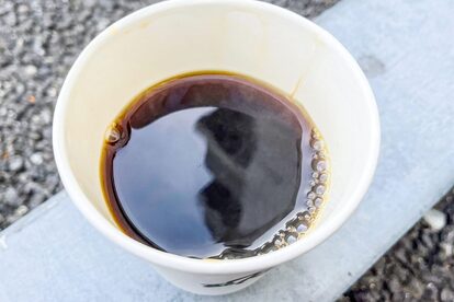 坂口憲二カフェ