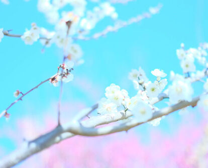 今日の運勢 12星座占いランキング 21年3月24日の運勢占い 日別運勢 エンタメ速報