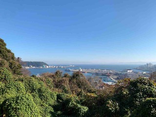 IMG_3905