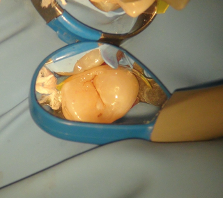 スクリーンショット 2025-09-21 20.15.13