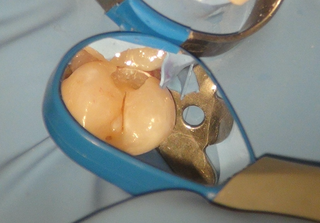 スクリーンショット 2025-09-21 20.14.13