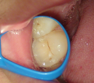 スクリーンショット 2025-09-21 20.12.53