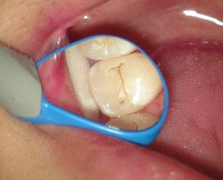 スクリーンショット 2025-09-21 20.15.20