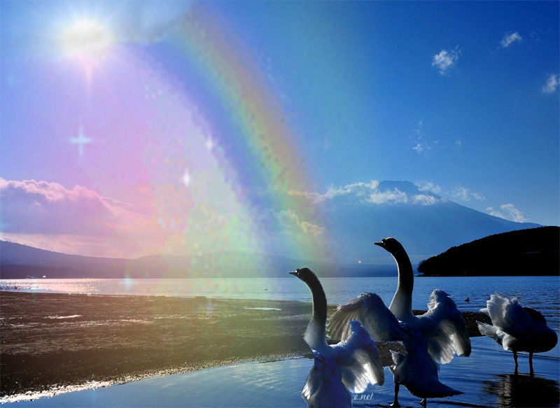 白鳥と虹 パステルラスト パソコンアート２