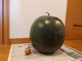すいか