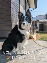 PXL_20260321_004503953.MP~2