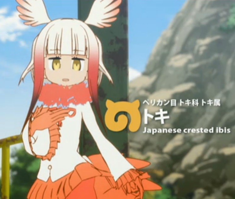 アニメ けものフレンズ観た けものはいても のけものはいない ちょびろぐ アニメ けものフレンズ観た けものはいても のけものはいない ちょびろぐ