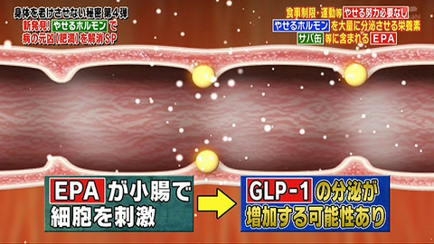 201308tvasahi08