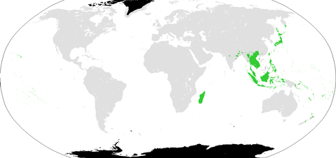 main-qimg-e26898ed8f146b11b29feeed640f5769