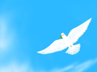 778950