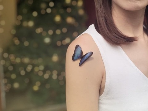 main-qimg-a7cb7216ad59453fc64cc0cb3ba71d2d