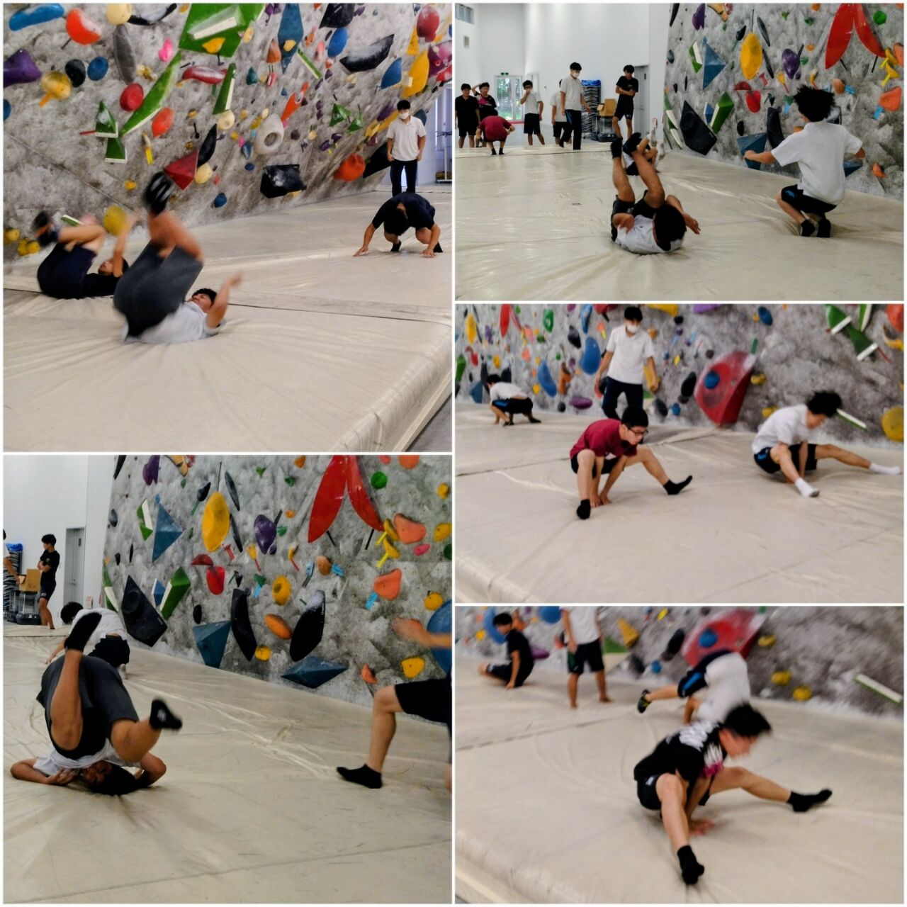 20260803_175855-COLLAGE~2