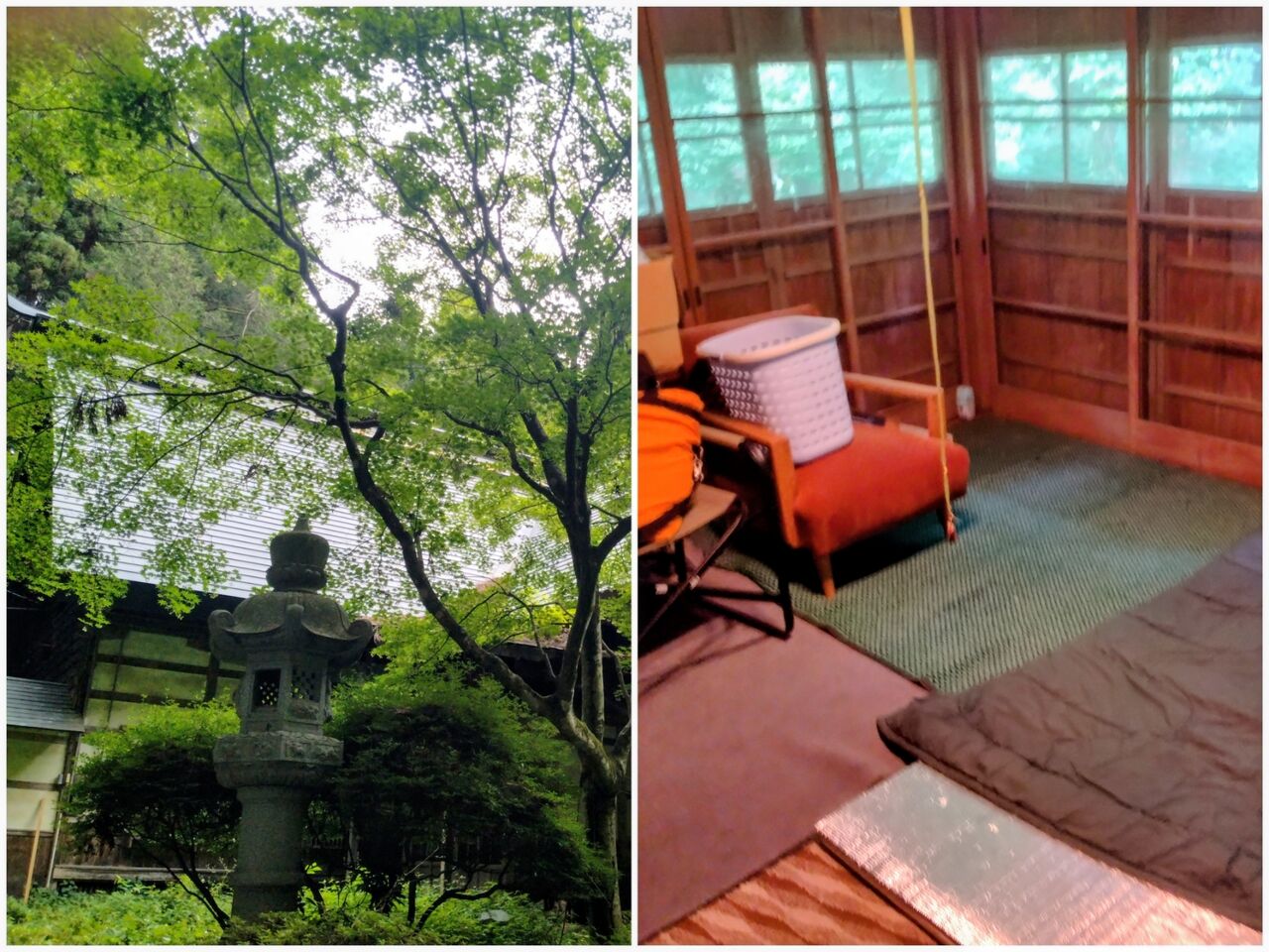 20260718_122640-COLLAGE~2