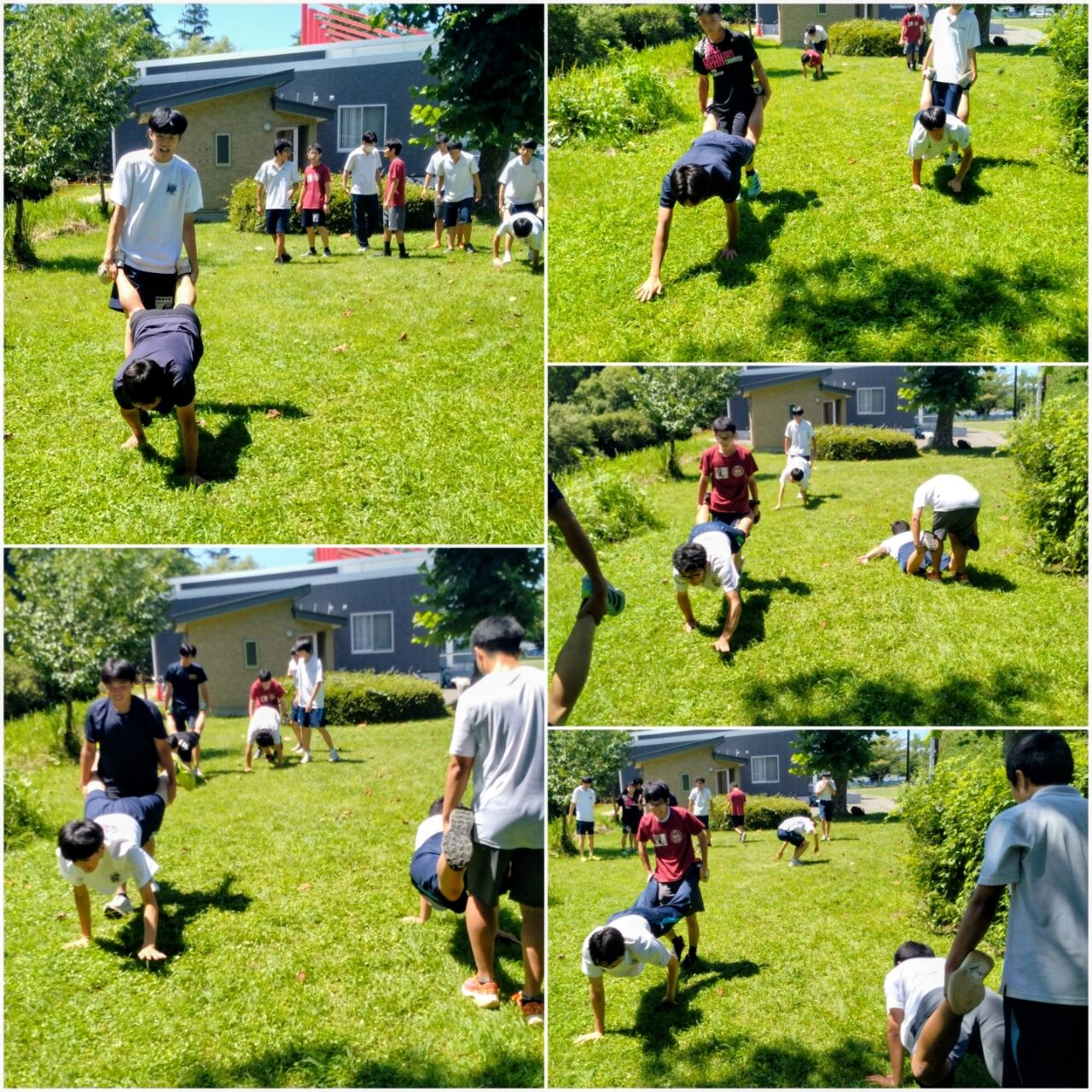 20260803_174523-COLLAGE~2