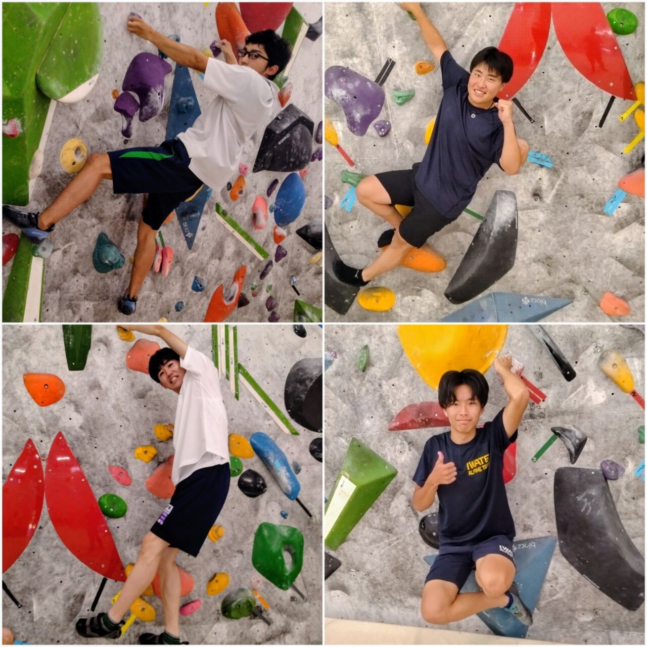 20260803_175256-COLLAGE~2