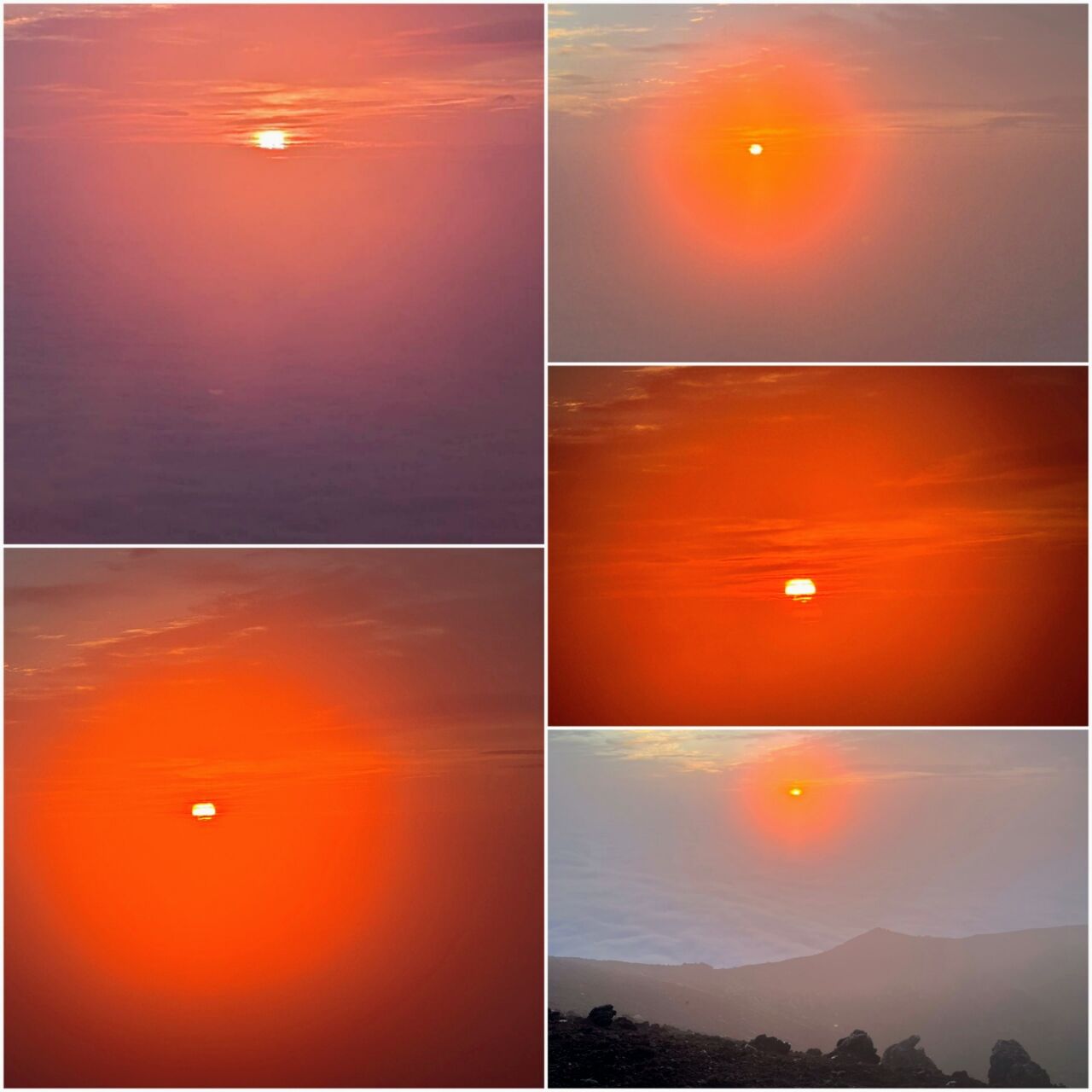 20260809_181530-COLLAGE~2