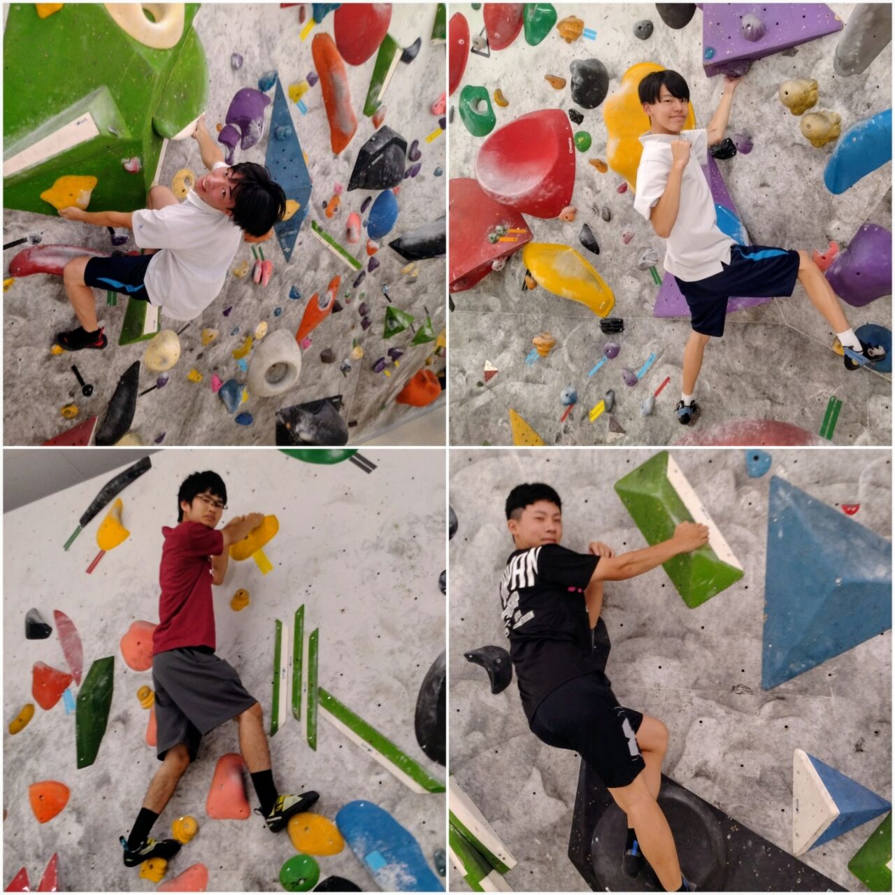 20260803_175649-COLLAGE~2