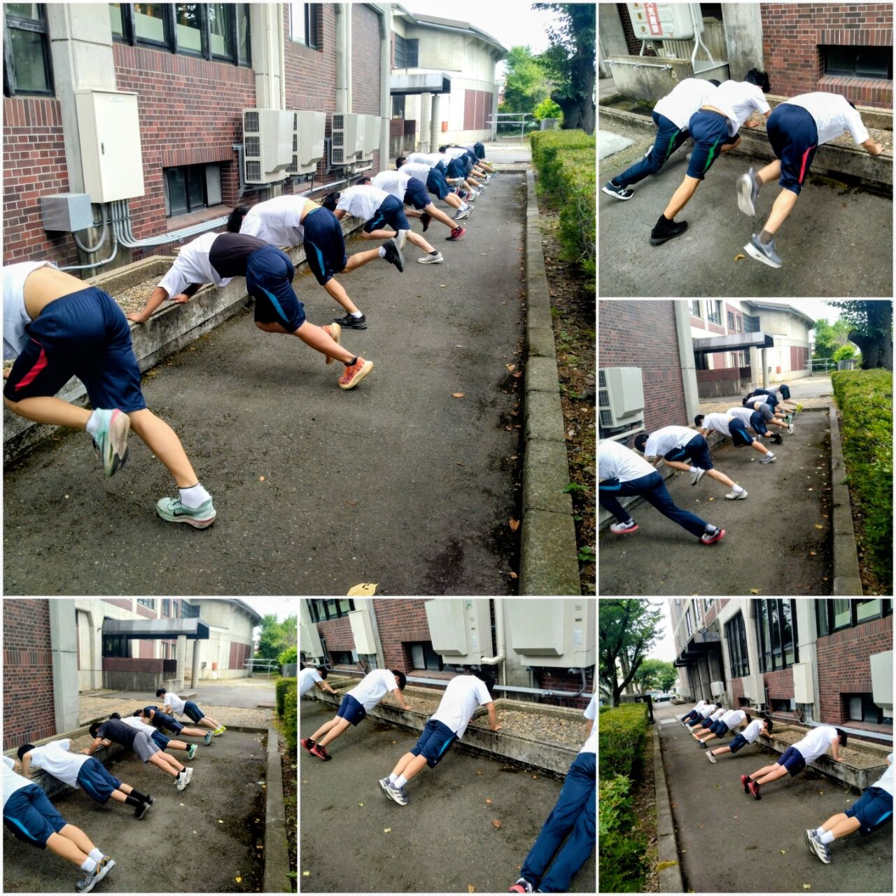 20260717_175326-COLLAGE~2