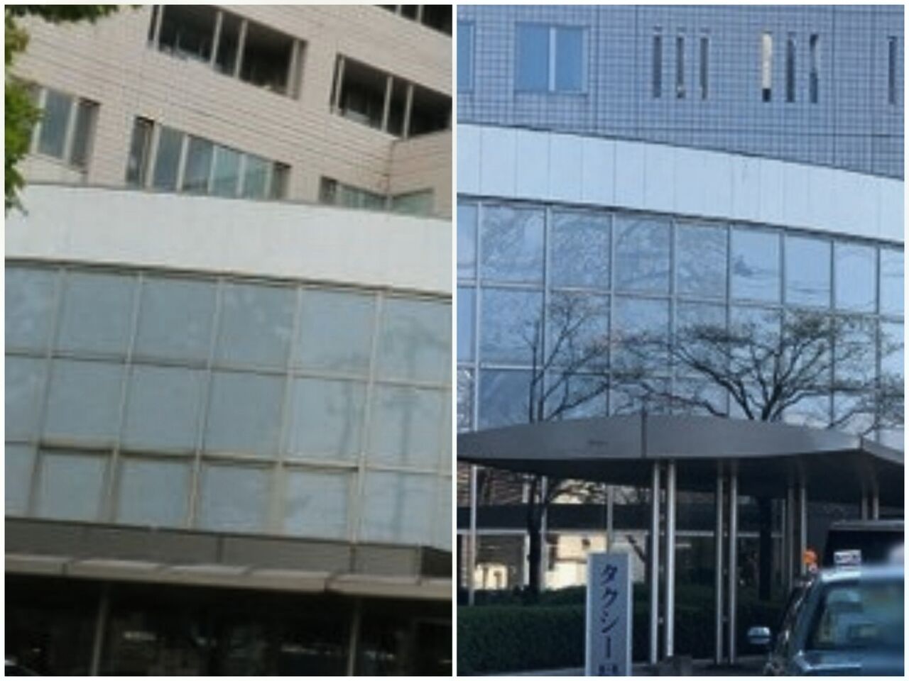 20260724_034900-COLLAGE~2