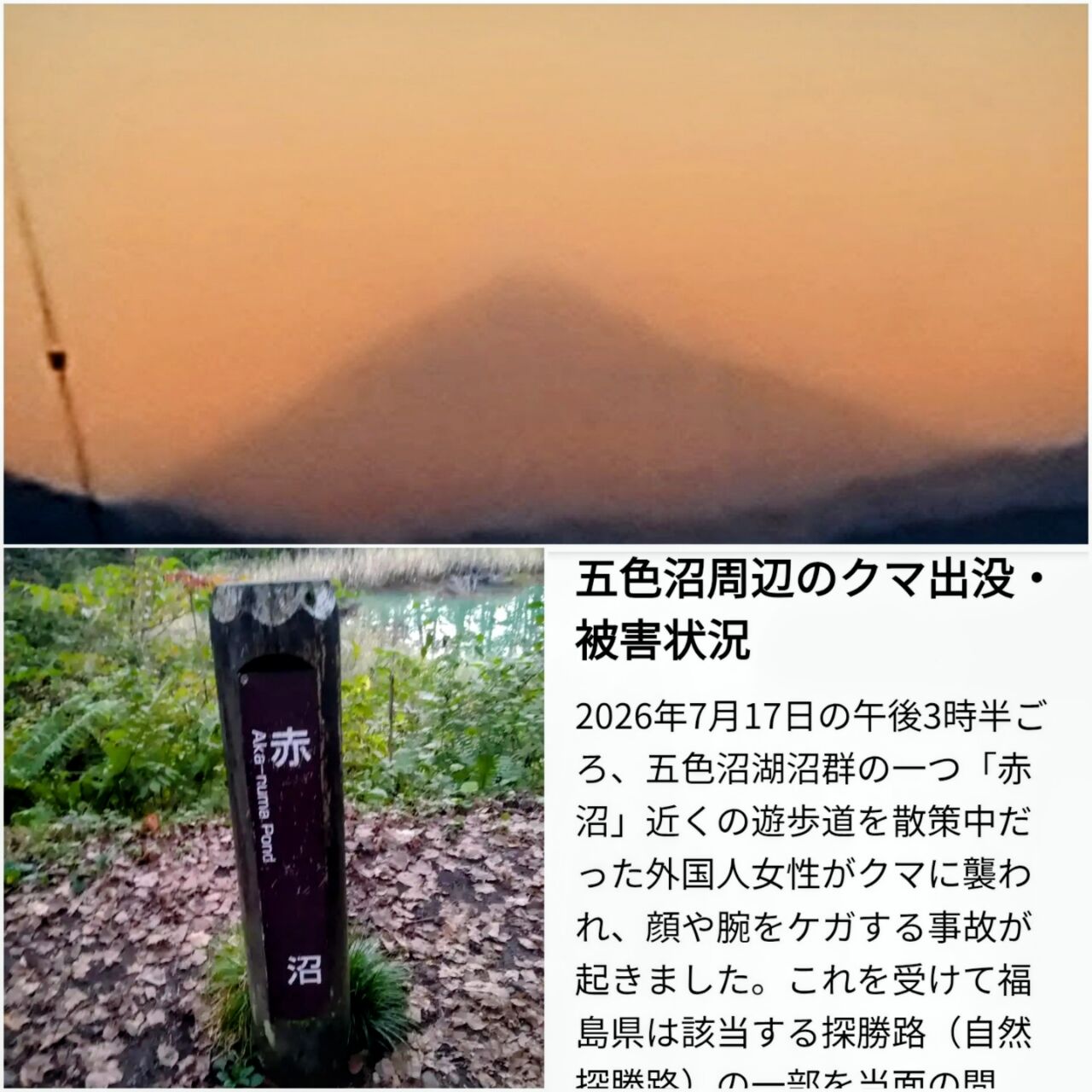 20260719_194851-COLLAGE~2