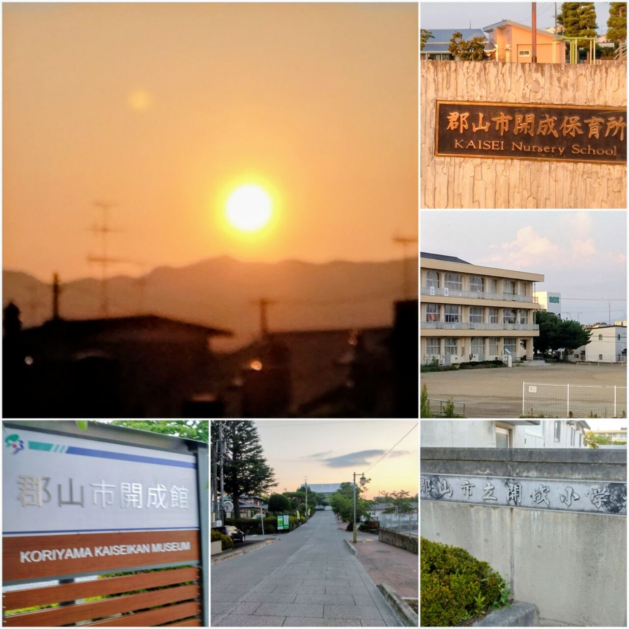 20260719_195105-COLLAGE~2