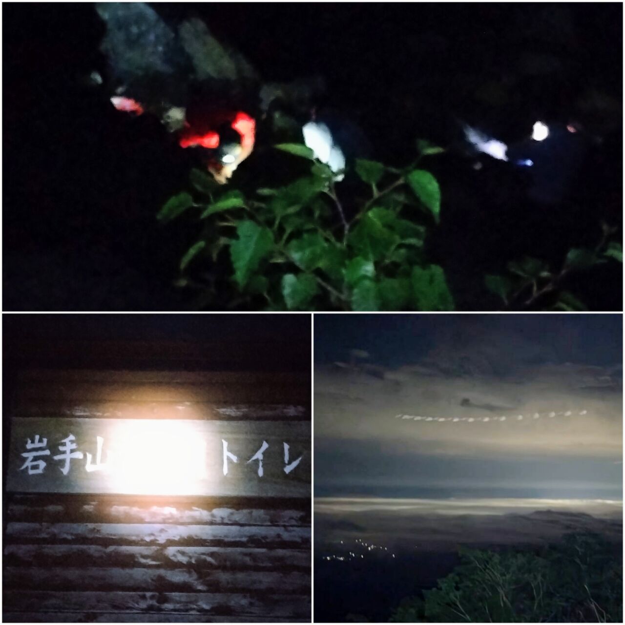 20260809_154415-COLLAGE~2