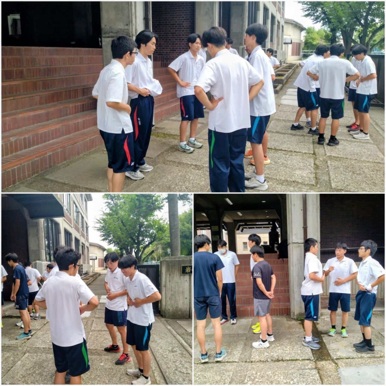 20260717_182310-COLLAGE~2