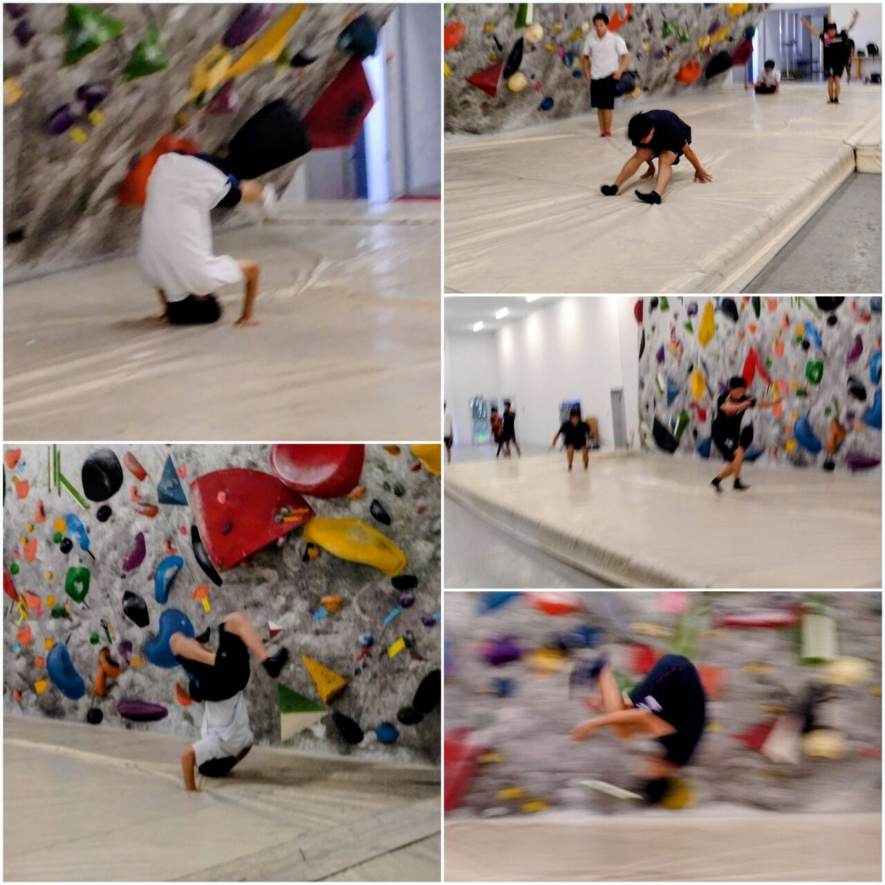 20260803_175803-COLLAGE~2