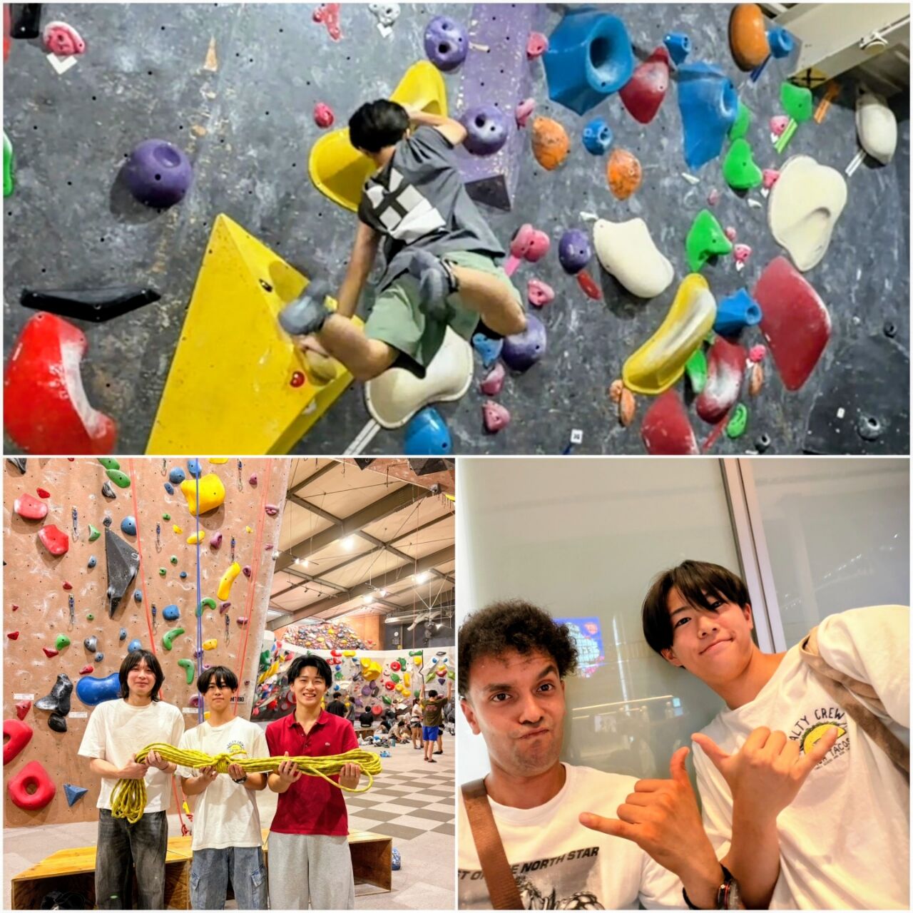 20260730_165624-COLLAGE~2