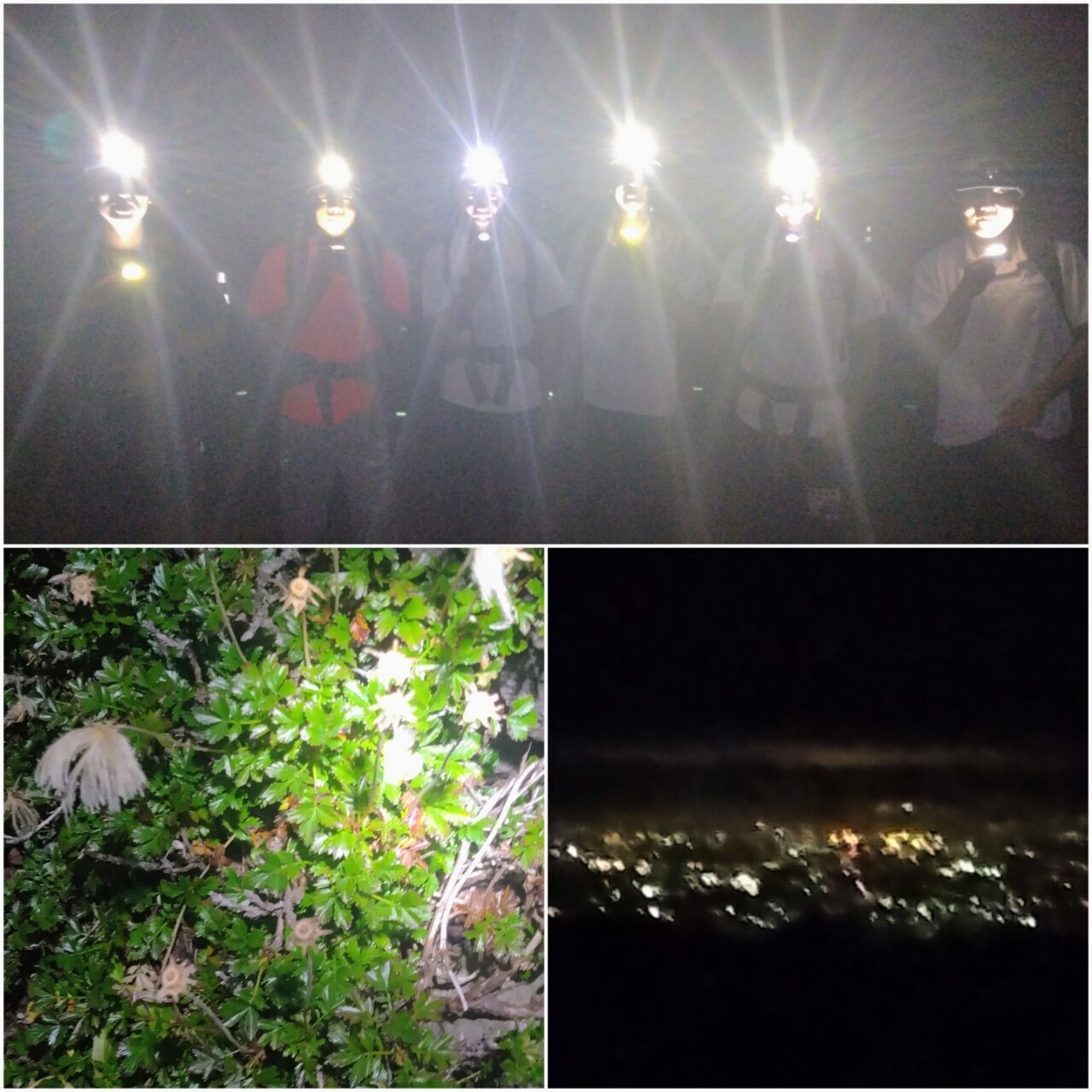20260809_154242-COLLAGE~2