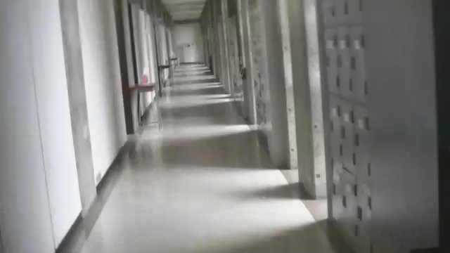 Capture_VID_20200501_174859_20200501_205816
