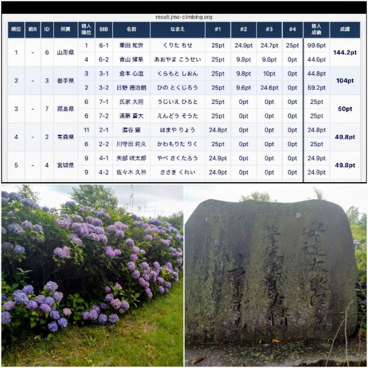 20260719_141903-COLLAGE~2