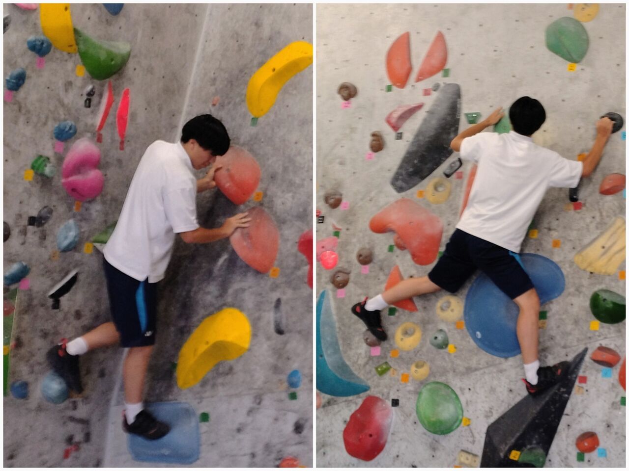 20260808_061154-COLLAGE~2